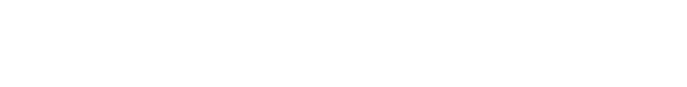 Arielle Executive